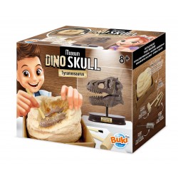 Museum Skull - T-Rex