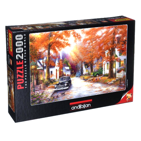 A MOMENT ON MEMORY LANE 2000 PICE PUZZLE