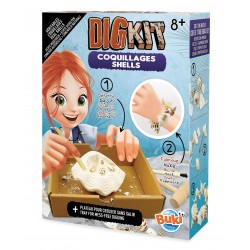 Dig Kit - Shells