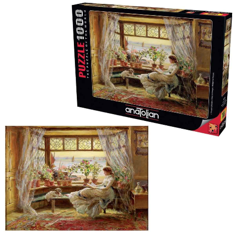 READING BY THE WINDOW 1000 PIECES